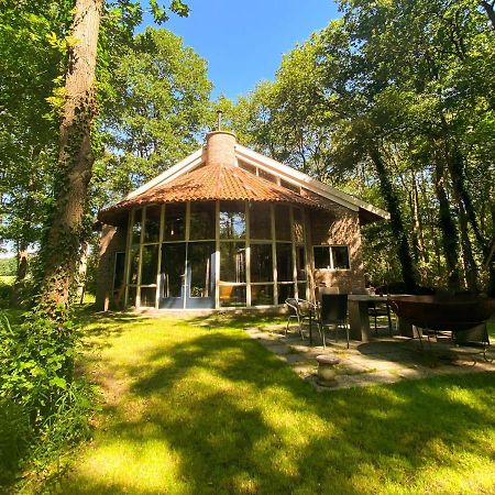 De Paddestoel Villa Wateren Eksteriør bilde